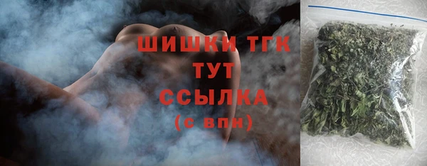 прущий лед Лагань